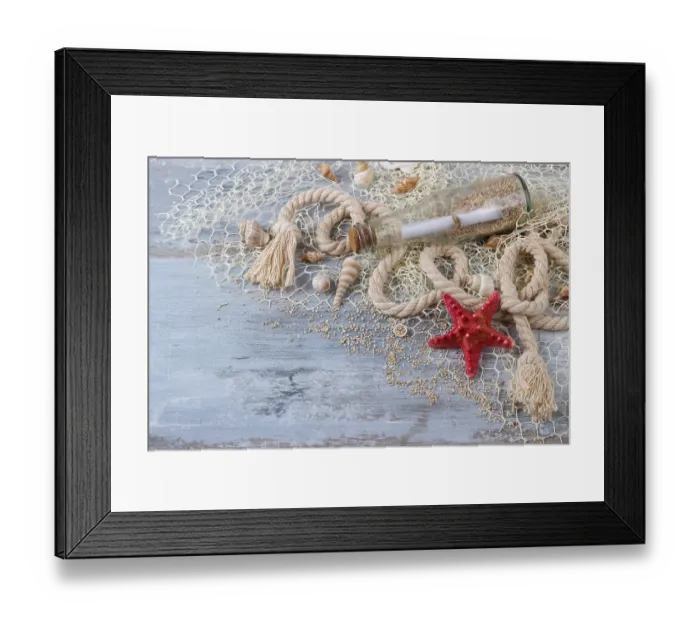 Framed Print : Sea shells in a fishnet, on wooden board Framed Print : Sea shells in a fishnet, on wooden board