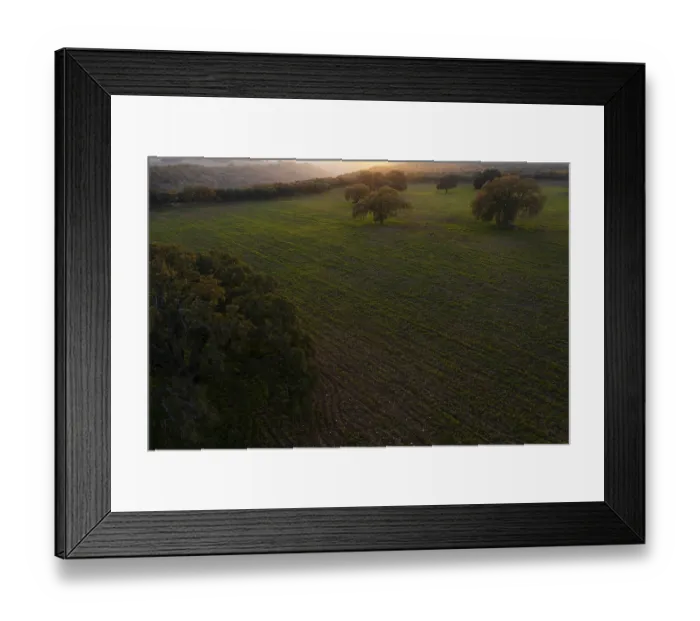 Framed Print : Aerial view of a tranquil sunrise landscape featuring sprawling fields