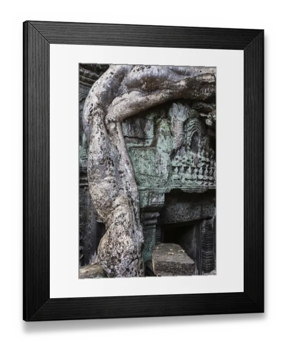 Framed Print : Ta Prohm temple with giant banyan tree Framed Print : Ta Prohm temple with giant banyan tree