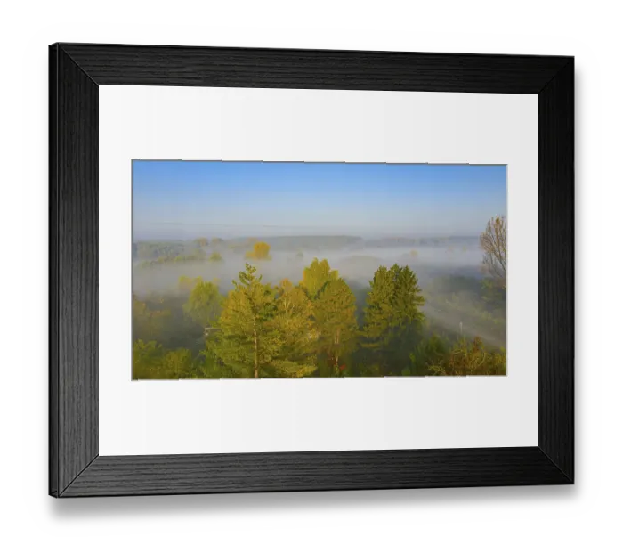 Framed Print : View on few conifers, slowly floating vapor Framed Print : View on few conifers, slowly floating vapor