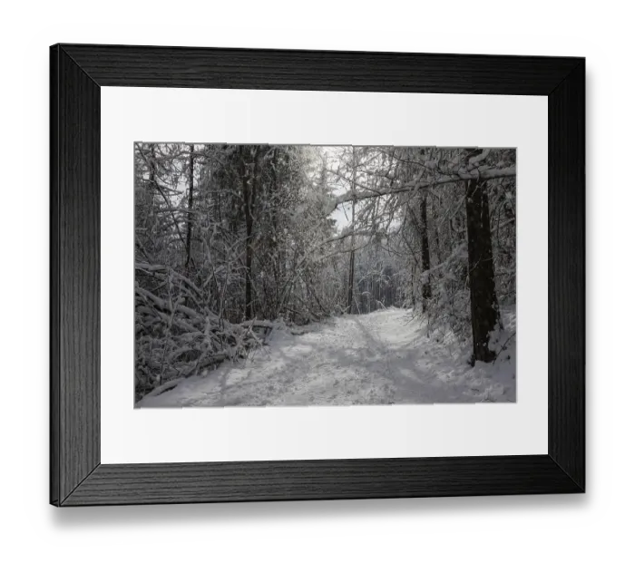 Framed Print : Winter atmosphere in the forest Framed Print : Winter atmosphere in the forest
