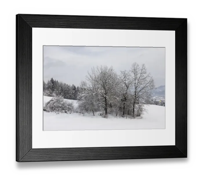 Framed Print : Winter atmosphere on the edge of the forest Framed Print : Winter atmosphere on the edge of the forest