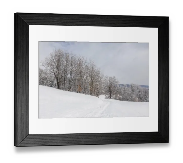 Framed Print : Winter atmosphere on the edge of the forest Framed Print : Winter atmosphere on the edge of the forest
