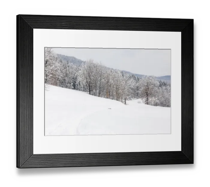 Framed Print : Winter atmosphere on the edge of the forest Framed Print : Winter atmosphere on the edge of the forest