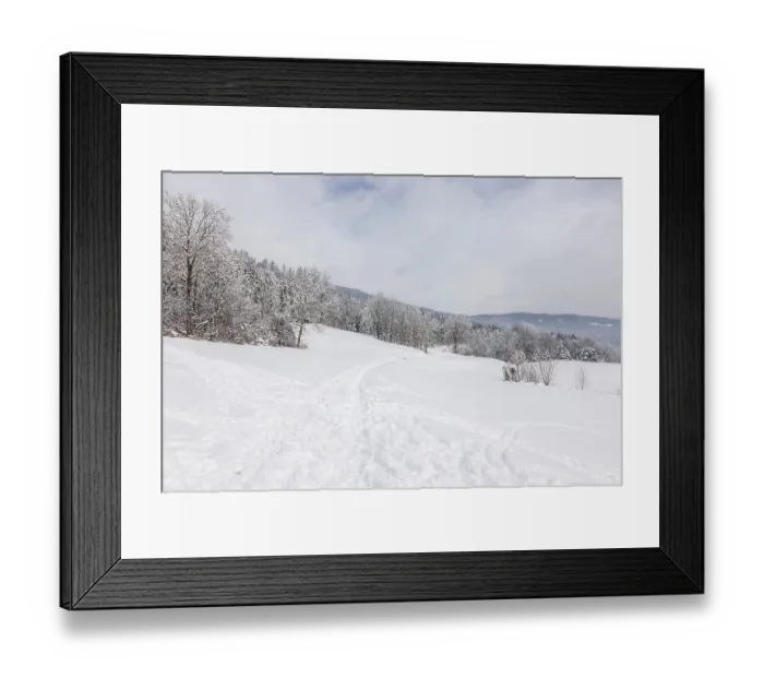 Framed Print : Winter atmosphere on the edge of the forest