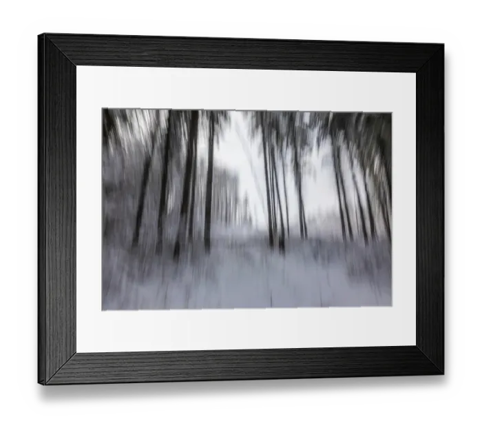 Framed Print : Winter atmosphere in the winter forest Framed Print : Winter atmosphere in the winter forest