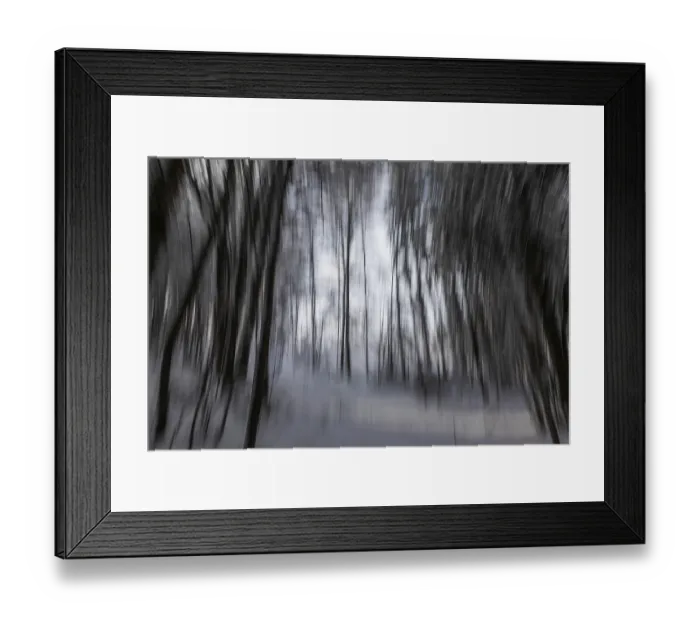 Framed Print : Winter atmosphere in the winter forest