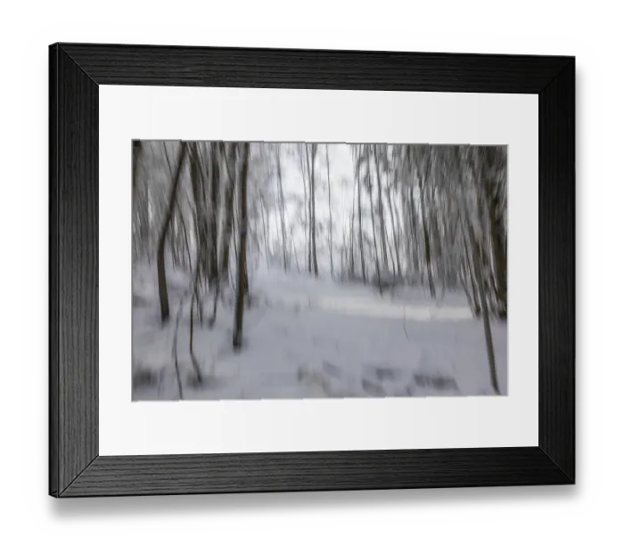 Framed Print : Winter atmosphere in the winter forest
