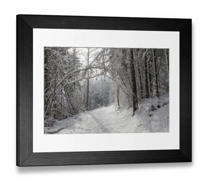 Framed Print : Winter atmosphere in the winter forest Framed Print : Winter atmosphere in the winter forest