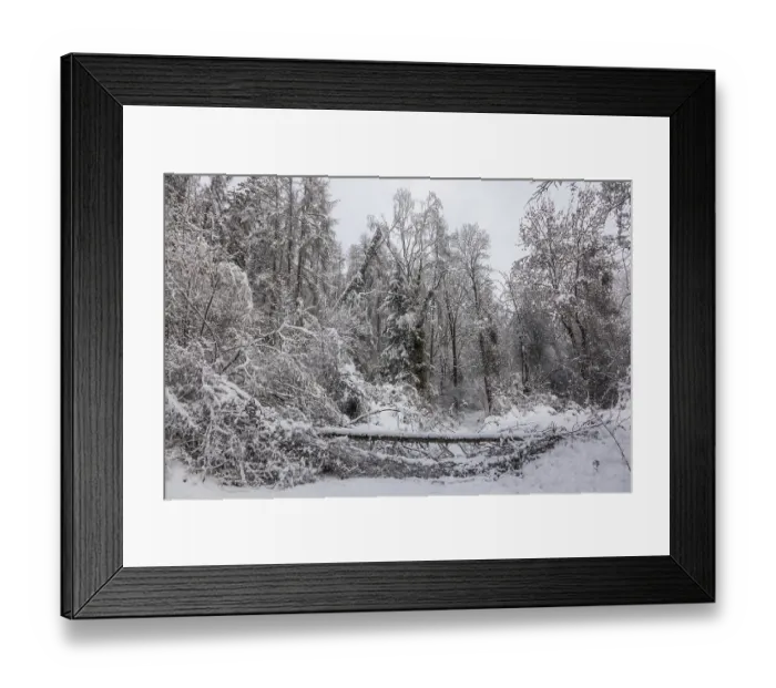Framed Print : Winter atmosphere in the forest