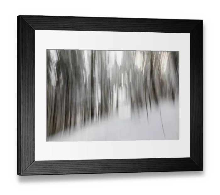 Framed Print : Winter forest, blur effect, pull-along effect Framed Print : Winter forest, blur effect, pull-along effect