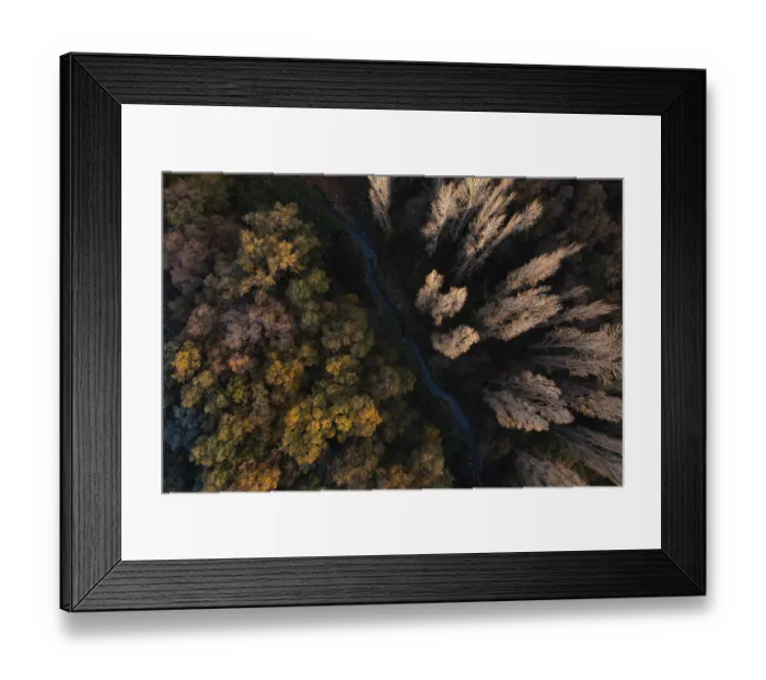 Framed Print : A drone captures a breathtaking autumn scene with a river snaking through a forest of changing colors Framed Print : A drone captures a breathtaking autumn scene with a river snaking through a forest of changing colors