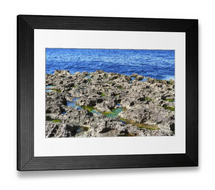 Framed Print : Corals on the sea shore on a sunny day