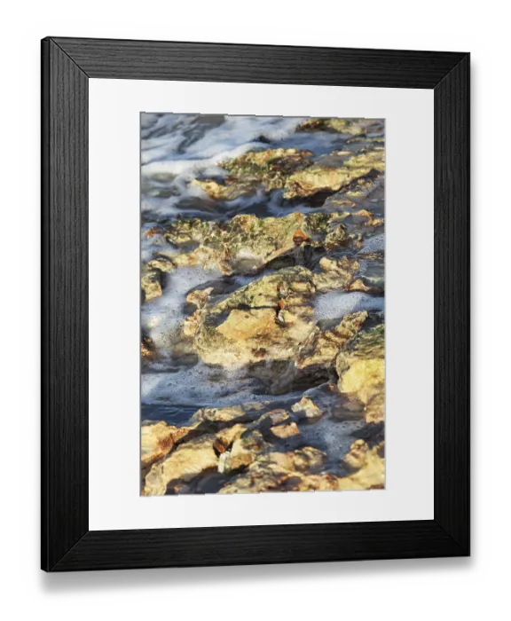 Framed Print : Corals on the sea shore on a sunny day