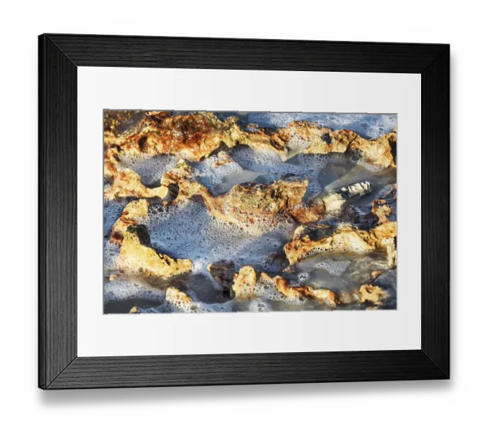 Framed Print : Corals on the sea shore on a sunny day Framed Print : Corals on the sea shore on a sunny day