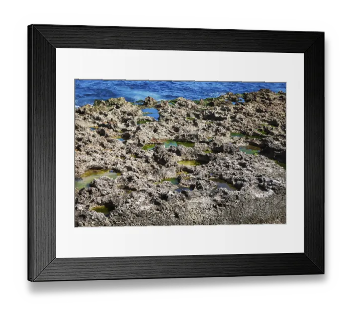 Framed Print : Corals on the ocean shore on a sunny day Framed Print : Corals on the ocean shore on a sunny day