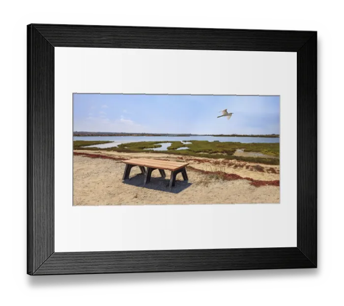Framed Print : Bench overlooking the peaceful and tranquil marsh of Bolsa Chica wetlands in Huntington Beach Framed Print : Bench overlooking the peaceful and tranquil marsh of Bolsa Chica wetlands in Huntington Beach