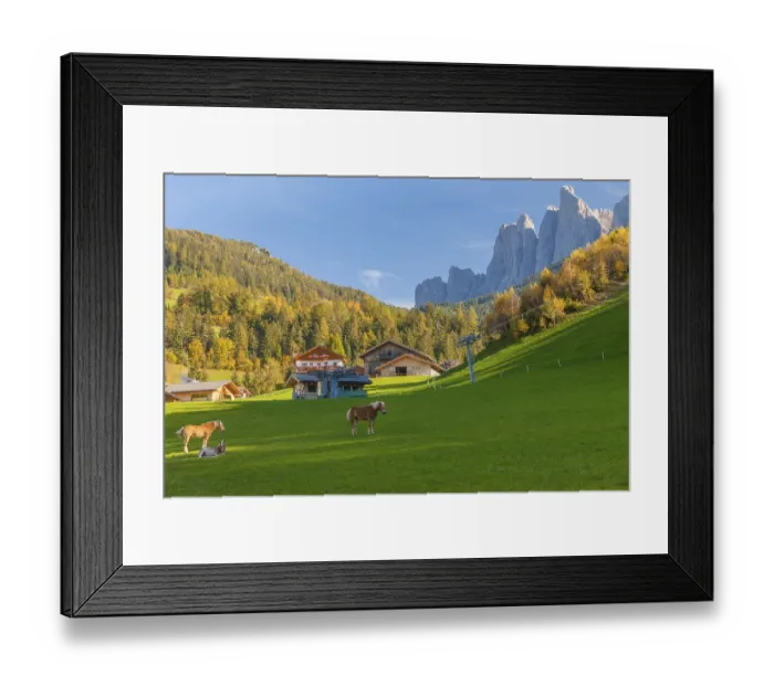 Framed Print : Italian Alps with horses with sun