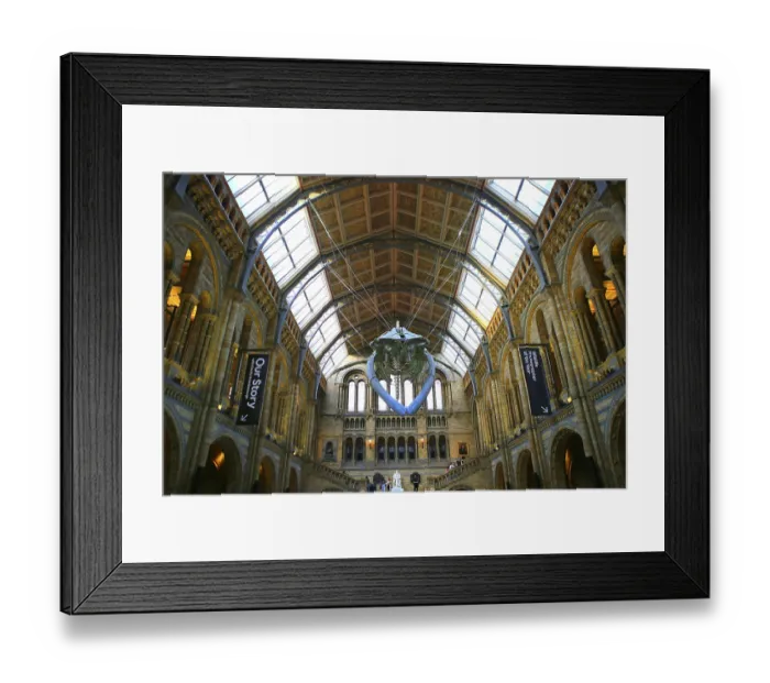 Framed Print : Impressive interior view of a historic building with skeleton exhibition and elaborate ceiling structure Framed Print : Impressive interior view of a historic building with skeleton exhibition and elaborate ceiling structure
