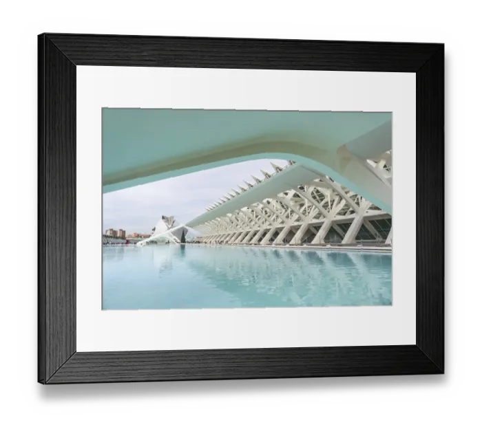 Framed Print : Ciudad de las artes y las ciencias showcases innovative architecture with white structures spanning across Framed Print : Ciudad de las artes y las ciencias showcases innovative architecture with white structures spanning across