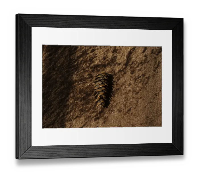 Framed Print : Dry pine cones as forest nature elements background