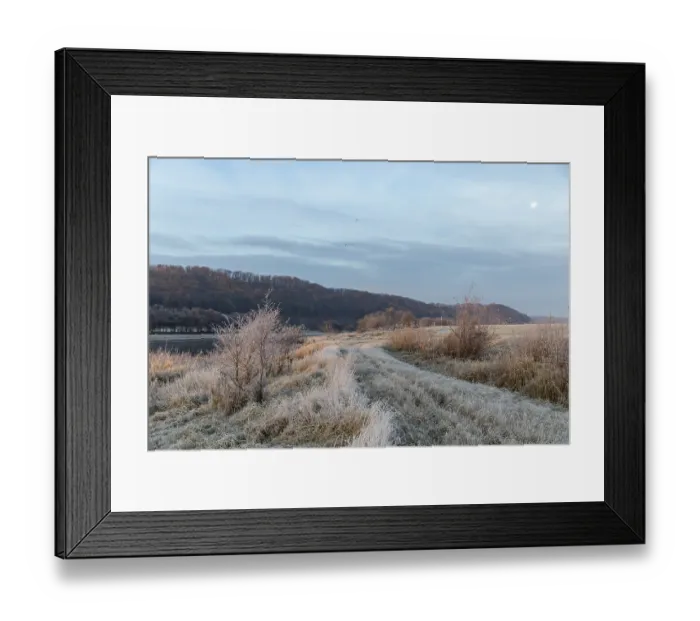 Framed Print : Wintery morning mood, Elbe meadows with hoarfrost