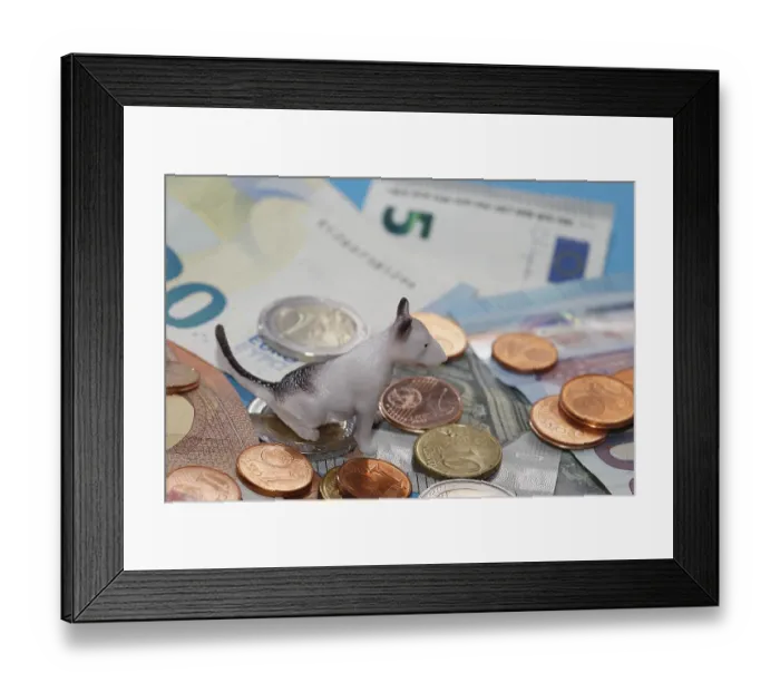 Framed Print : Miniature bull terrier figure sitting on euro coins surrounded by banknotes against a blue background Framed Print : Miniature bull terrier figure sitting on euro coins surrounded by banknotes against a blue background