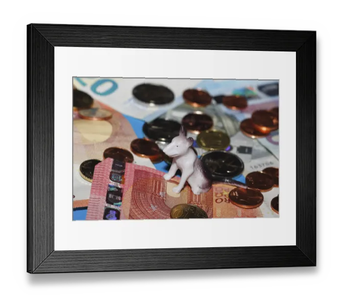 Framed Print : Miniature bull terrier figure sitting on euro coins surrounded by banknotes against a blue background