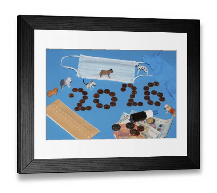 Framed Print : Various miniature dogs with medical devices and euro coins on a blue background Framed Print : Various miniature dogs with medical devices and euro coins on a blue background