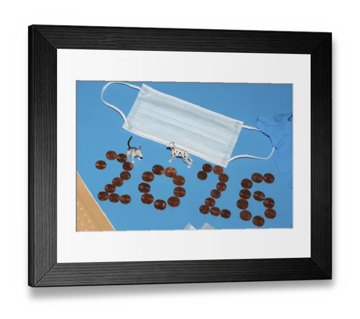 Framed Print : Miniature dogs with medical devices and euro coins on a blue background