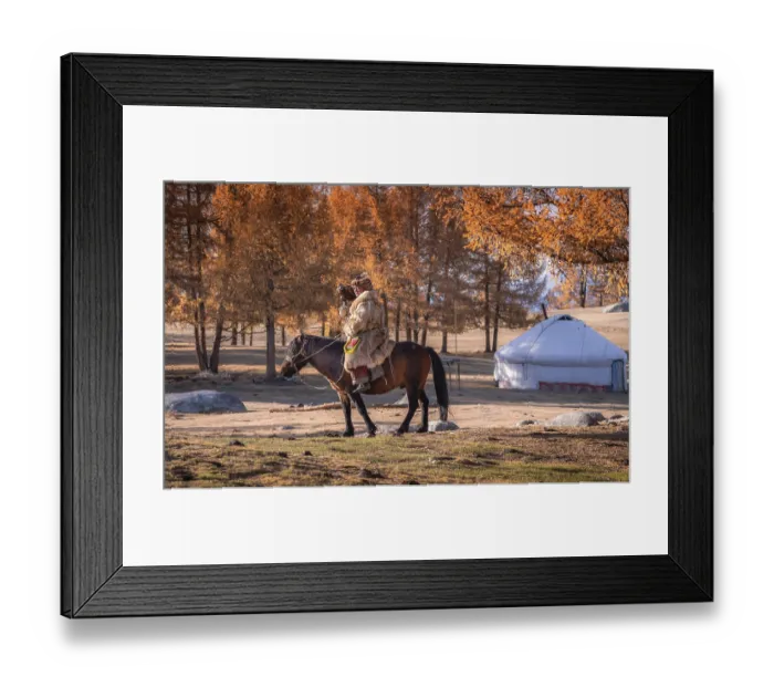 Framed Print : Go hunting with his eagle. Western Mongolia