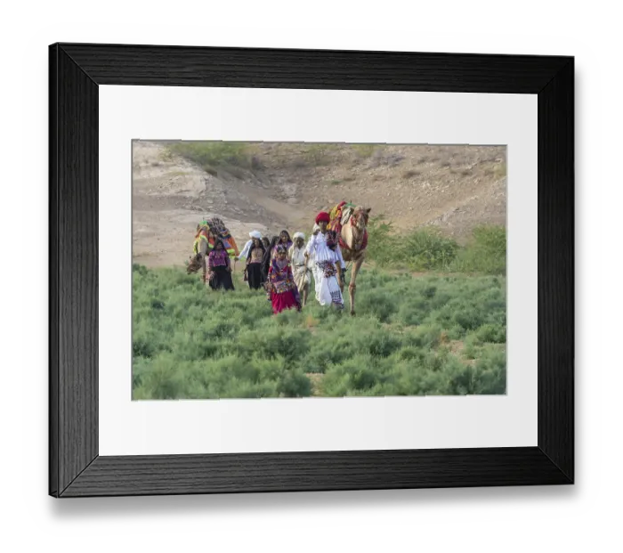 Framed Print : Rabari tribe people walking in the desert with a dromedary Framed Print : Rabari tribe people walking in the desert with a dromedary