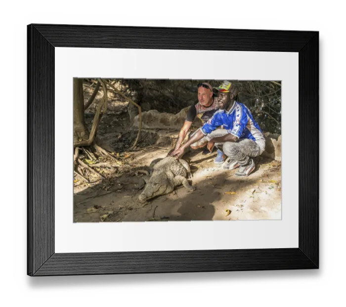 Framed Print : Nile crocodile in the sacred crocodile pool of Kachikally Framed Print : Nile crocodile in the sacred crocodile pool of Kachikally