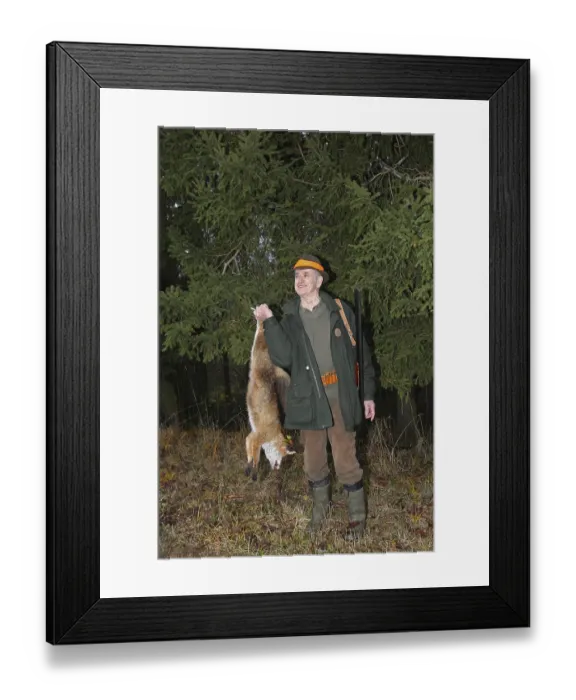 Framed Print : Hunter with a red fox (Vulpes vulpes) shot during a hunt for brown hares (Lepus europaeus) Lower Austria Framed Print : Hunter with a red fox (Vulpes vulpes) shot during a hunt for brown hares (Lepus europaeus) Lower Austria