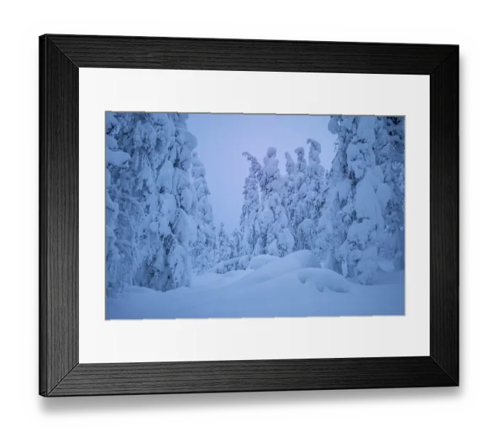 Framed Print : Finland. Evening winter forest Framed Print : Finland. Evening winter forest
