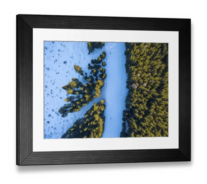 Framed Print : Ski resort. A ski run on the edge of a spruce forest