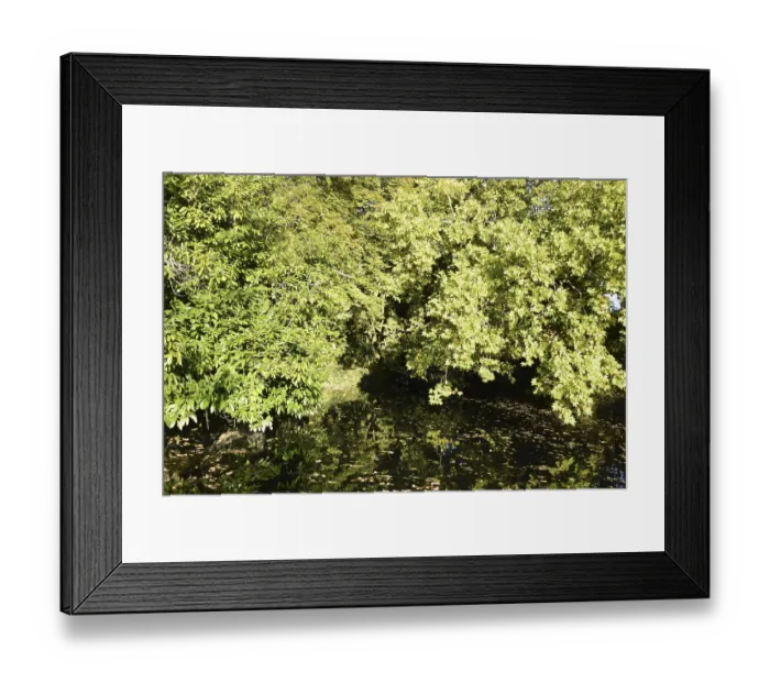 Framed Print : The banks of the Seugne river, Lush green trees reflecting in a calm body of water under bright sunlight in France Framed Print : The banks of the Seugne river, Lush green trees reflecting in a calm body of water under bright sunlight in France