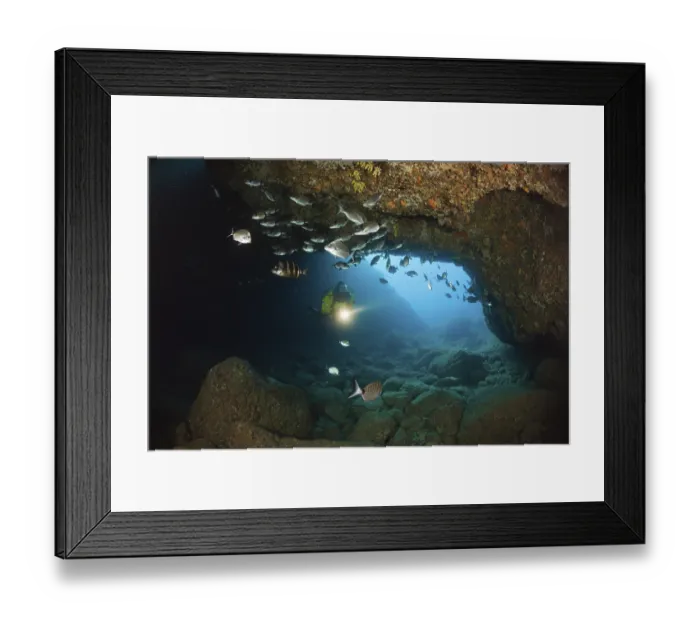 Framed Print : Diver and sea bream in cave, Diplodus vulgaris