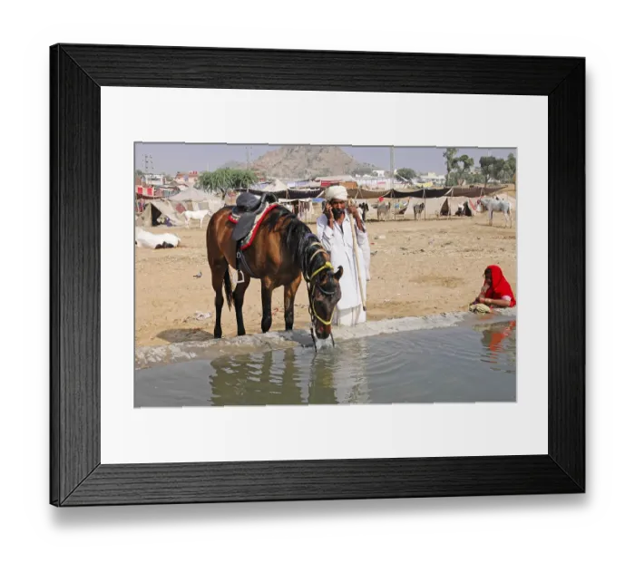 Framed Print : Camel market, fair, people, wedding market