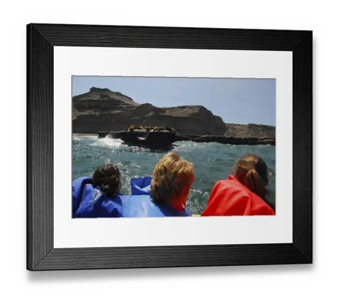 Framed Print : Sea lion colony near Puerto Piramides