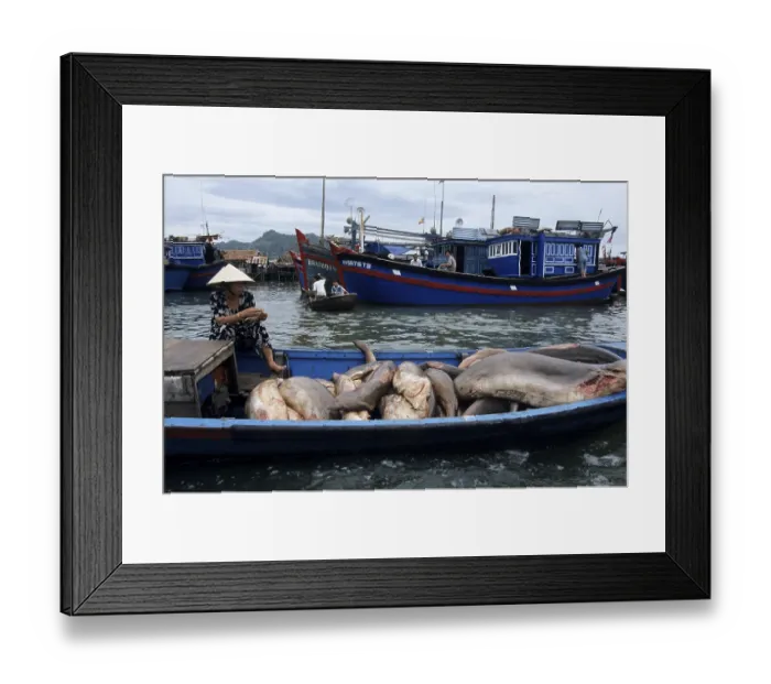 Framed Print : Fishing harbour on the Song Cai River