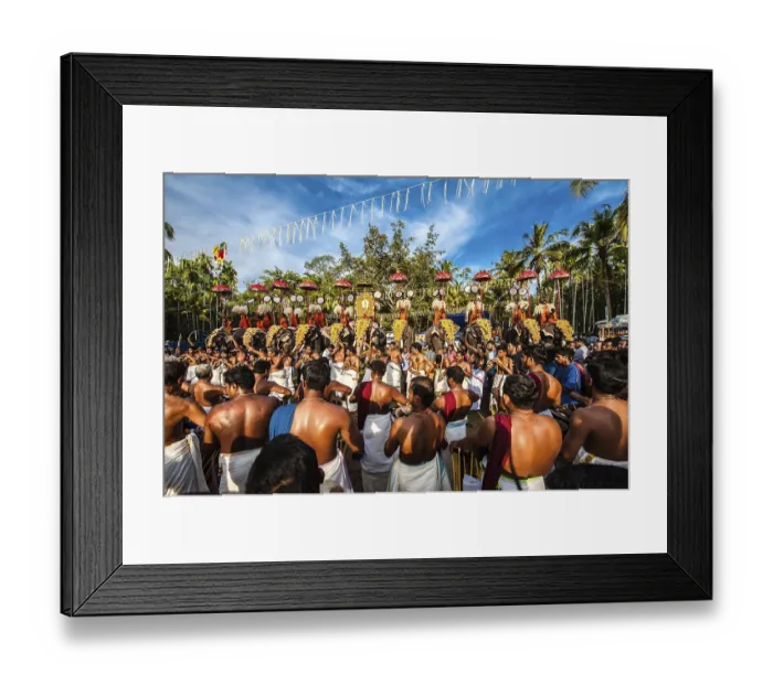 Framed Print : Hindu temple festival with many elephants Framed Print : Hindu temple festival with many elephants