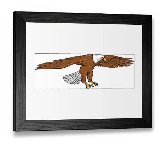 Framed Print : Drawing sketch style illustration of bald eagle swooping wings flapping viewed from the side set on isolated white Framed Print : Drawing sketch style illustration of bald eagle swooping wings flapping viewed from the side set on isolated white