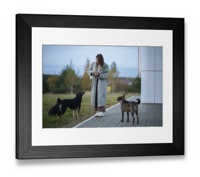 Framed Print : Young woman volunteer feeding a family of stray dogs on the street