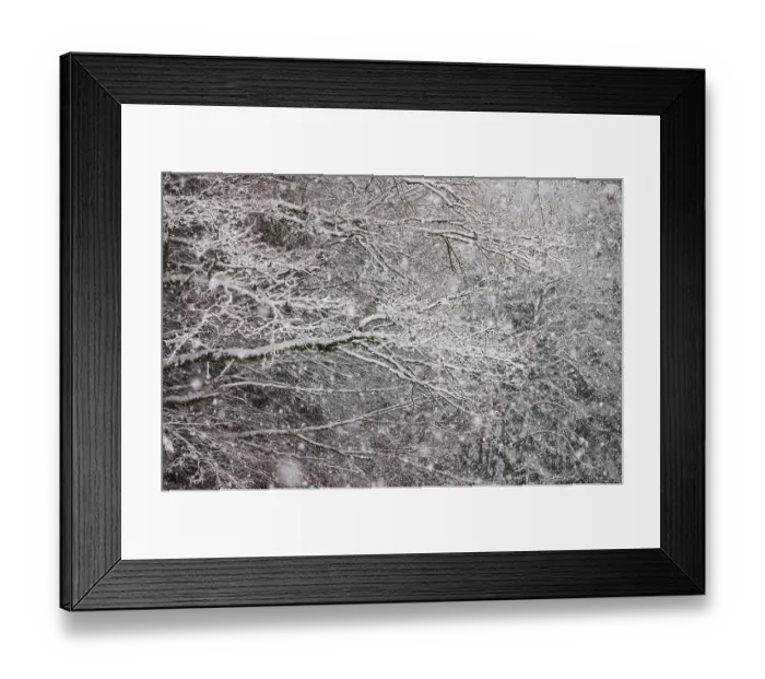 Framed Print : Winter forest during snowfall, Mondseeland