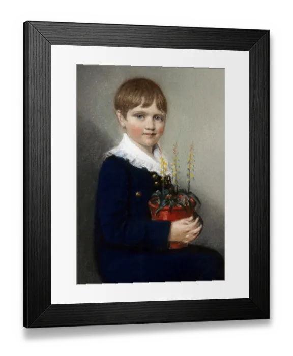 Framed Print : Charles Robert Darwin (12 February 1809 in Shrewsbury - 19 April 1882)