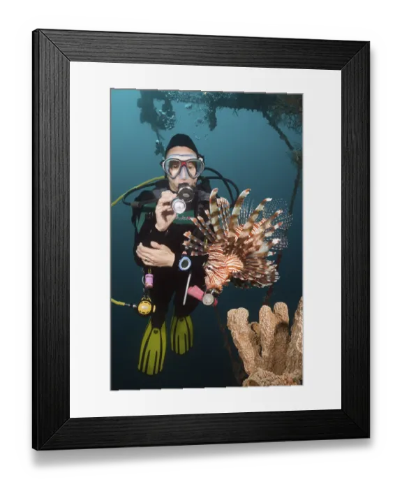 Framed Print : Lionfish at the Mbike Wreck (Pterois volitans)