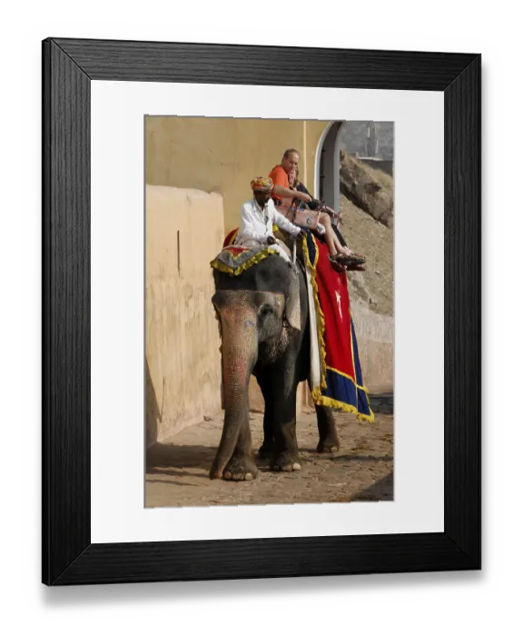Framed Print : Elephant ride to Amber Palace, Rajasthan