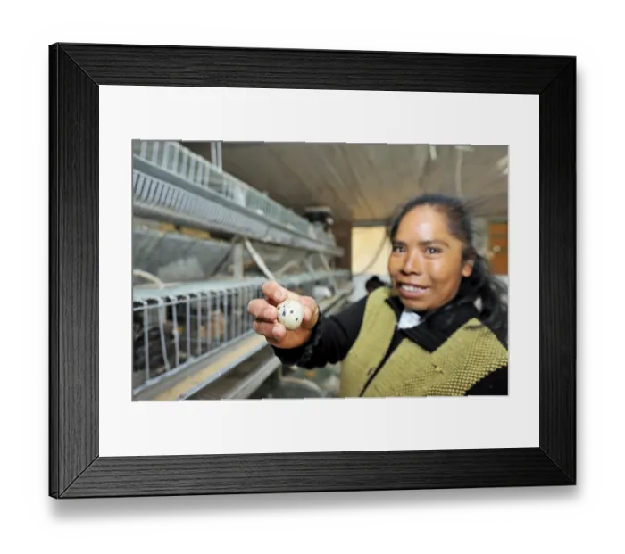 Framed Print : Young woman proudly showing an egg of the quail-breeding facility for the disabled