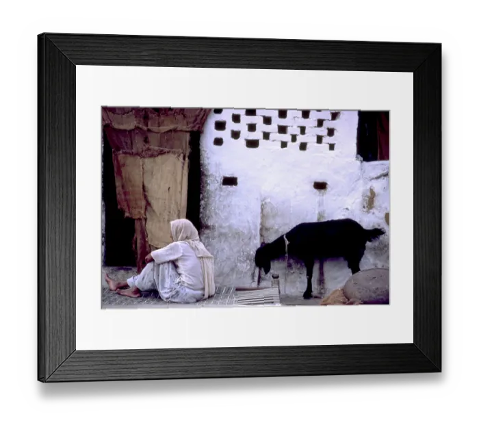 Framed Print : India, Rajahstan, Man and Goat